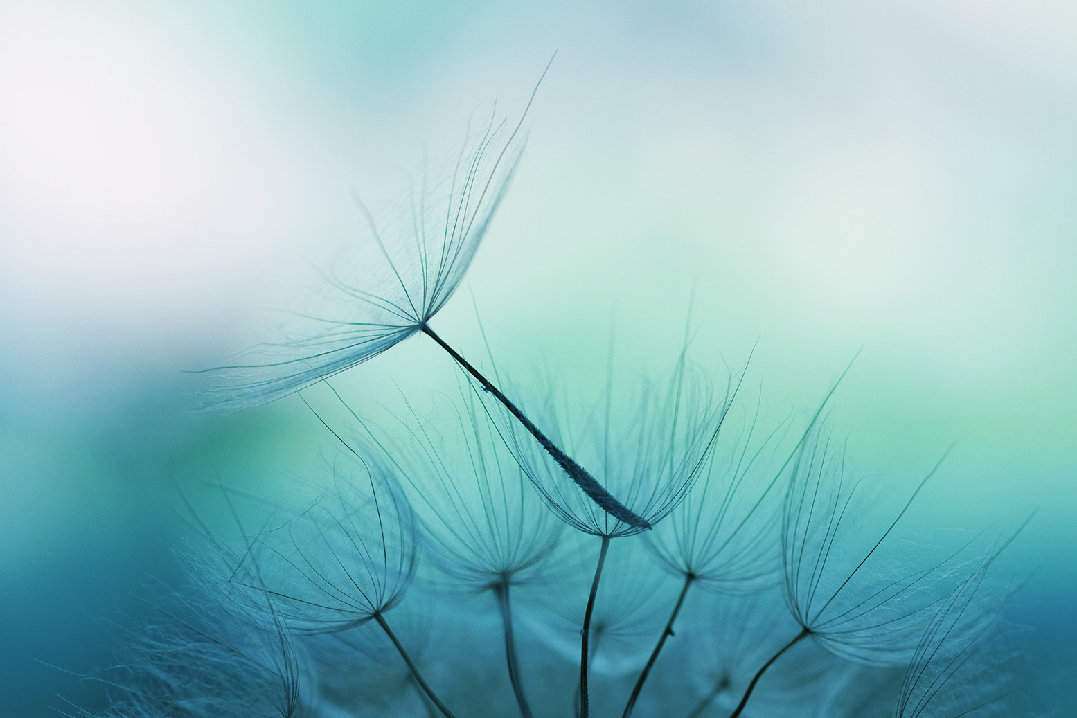 iStock-157681198